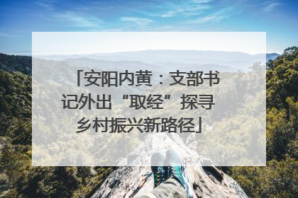 安阳内黄：支部书记外出“取经”探寻乡村振兴新路径