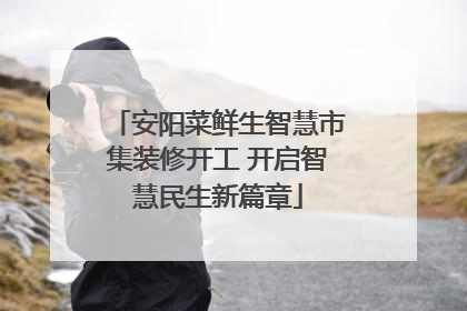 安阳菜鲜生智慧市集装修开工 开启智慧民生新篇章