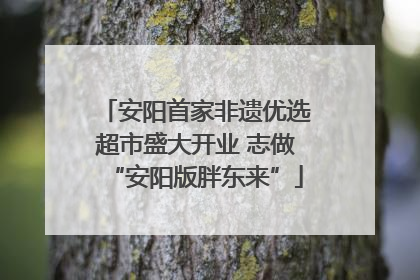 安阳首家非遗优选超市盛大开业 志做“安阳版胖东来”