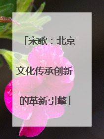 宋歌：北京文化传承创新的革新引擎