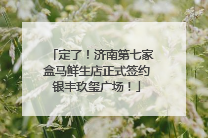 定了！济南第七家盒马鲜生店正式签约银丰玖玺广场！