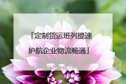 定制货运班列提速 护航企业物流畅通