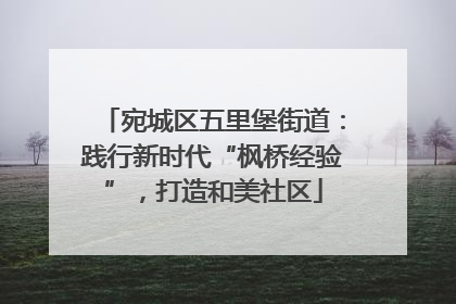 宛城区五里堡街道：践行新时代“枫桥经验”，打造和美社区