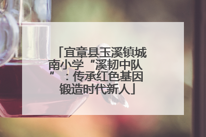 宜章县玉溪镇城南小学“溪韧中队”：传承红色基因 锻造时代新人