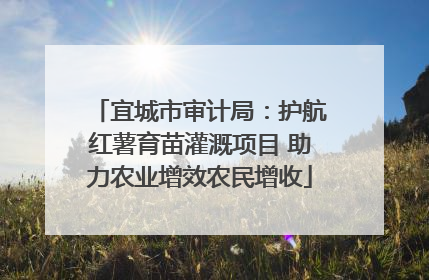宜城市审计局：护航红薯育苗灌溉项目 助力农业增效农民增收