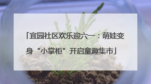 宜园社区欢乐迎六一：萌娃变身“小掌柜”开启童趣集市