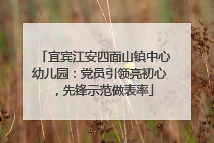 宜宾江安四面山镇中心幼儿园：党员引领亮初心，先锋示范做表率