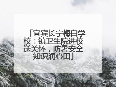 宜宾长宁梅白学校：镇卫生院进校送关怀，防暑安全知识润心田