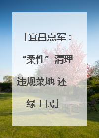 宜昌点军：“柔性”清理违规菜地 还绿于民