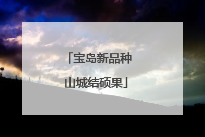 宝岛新品种 山城结硕果
