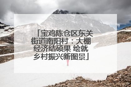 宝鸡陈仓区东关街道南阳村：大棚经济结硕果 绘就乡村振兴新图景