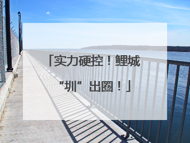 实力硬控！鲤城“圳”出圈！
