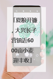夏粮开镰，大兴长子营镇近6000亩小麦迎丰收