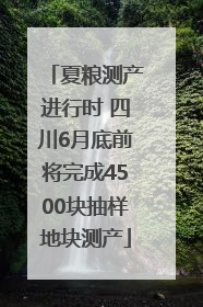 夏粮测产进行时 四川6月底前将完成4500块抽样地块测产