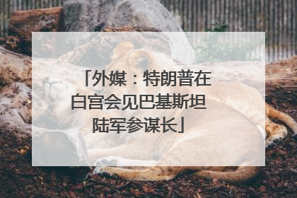外媒：特朗普在白宫会见巴基斯坦陆军参谋长