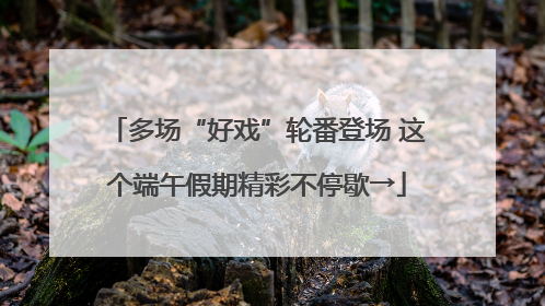多场“好戏”轮番登场 这个端午假期精彩不停歇→
