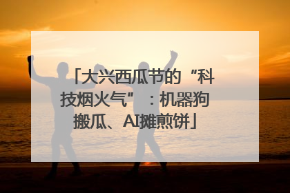 大兴西瓜节的“科技烟火气”：机器狗搬瓜、AI摊煎饼