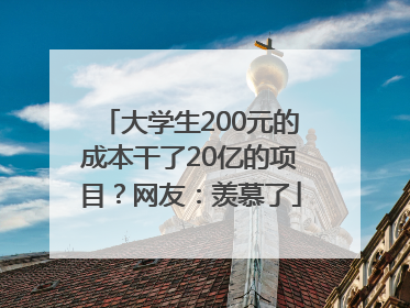 大学生200元的成本干了20亿的项目？网友：羡慕了