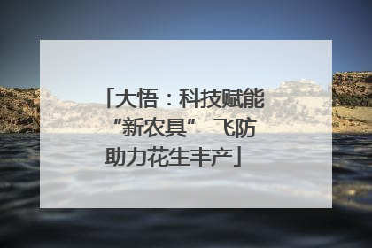 大悟：科技赋能“新农具” 飞防助力花生丰产