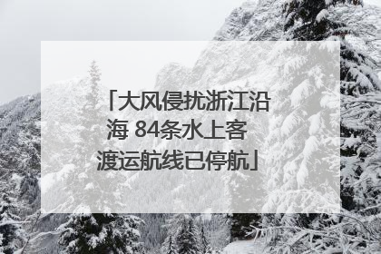 大风侵扰浙江沿海 84条水上客渡运航线已停航