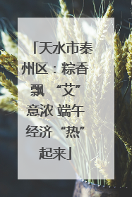 天水市秦州区：粽香飘 “艾”意浓 端午经济“热”起来