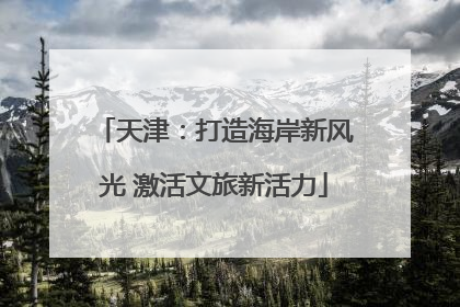 天津：打造海岸新风光 激活文旅新活力