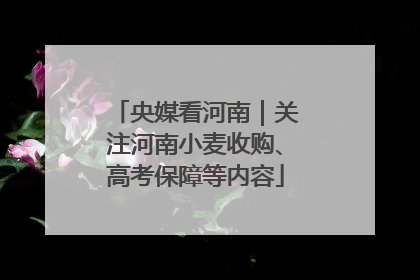 央媒看河南｜关注河南小麦收购、高考保障等内容