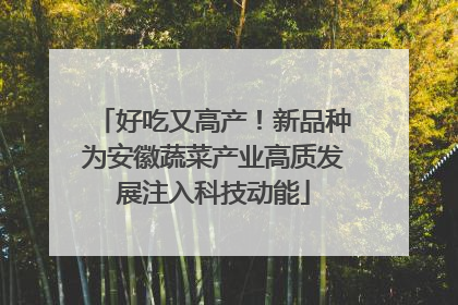 好吃又高产！新品种为安徽蔬菜产业高质发展注入科技动能