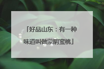 好品山东：有一种味道叫做蒙阴蜜桃