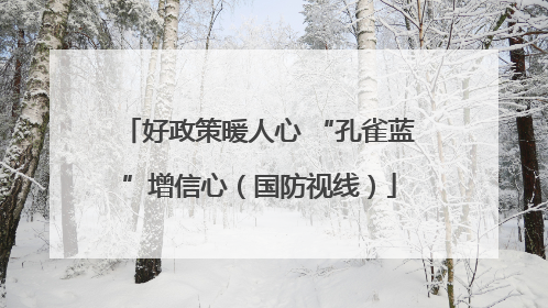 好政策暖人心 “孔雀蓝”增信心（国防视线）