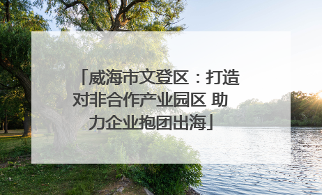 威海市文登区：打造对非合作产业园区 助力企业抱团出海
