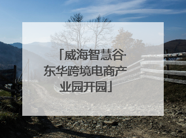 威海智慧谷·东华跨境电商产业园开园