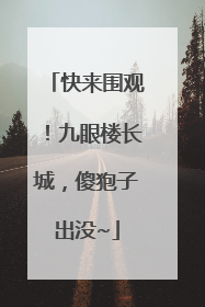 快来围观！九眼楼长城，傻狍子出没~