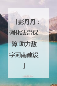 彭丹丹：强化法治保障 助力数字河南建设