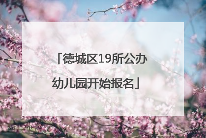 德城区19所公办幼儿园开始报名
