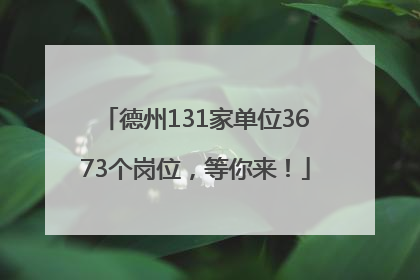 德州131家单位3673个岗位，等你来！