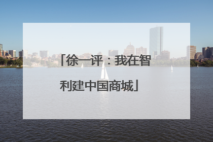 徐一评：我在智利建中国商城