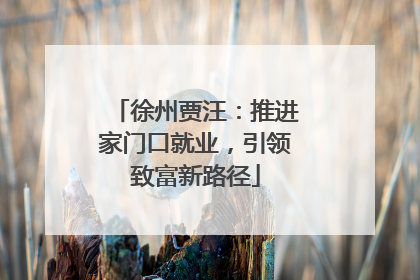 徐州贾汪：推进家门口就业，引领致富新路径
