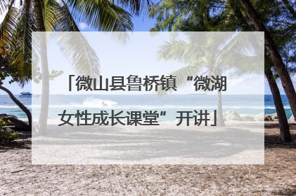 微山县鲁桥镇“微湖女性成长课堂”开讲