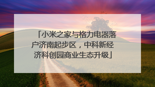 小米之家与格力电器落户济南起步区，中科新经济科创园商业生态升级