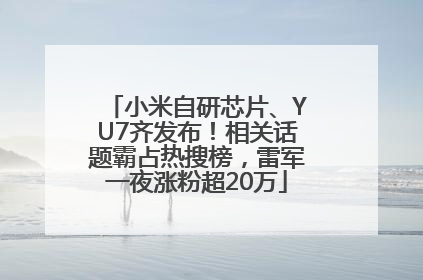 小米自研芯片、YU7齐发布！相关话题霸占热搜榜，雷军一夜涨粉超20万