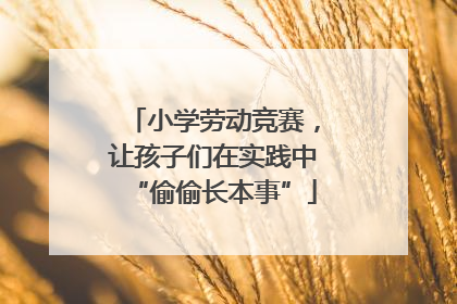 小学劳动竞赛，让孩子们在实践中“偷偷长本事”