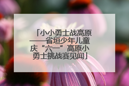 小小勇士战高原——省垣少年儿童庆“六一”高原小勇士挑战赛见闻