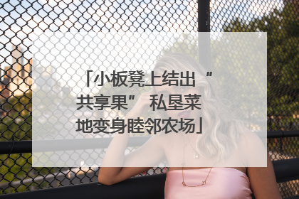 小板凳上结出“共享果” 私垦菜地变身睦邻农场