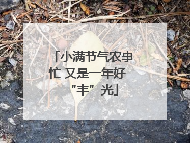小满节气农事忙 又是一年好“丰”光