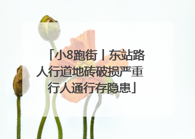 小8跑街丨东站路人行道地砖破损严重 行人通行存隐患