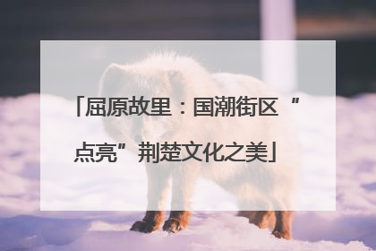 屈原故里：国潮街区“点亮”荆楚文化之美