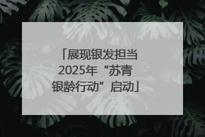 展现银发担当 2025年“苏青银龄行动”启动