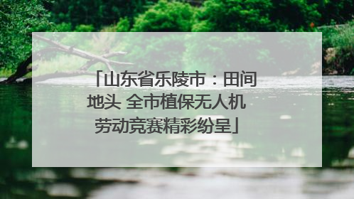 山东省乐陵市：田间地头 全市植保无人机劳动竞赛精彩纷呈