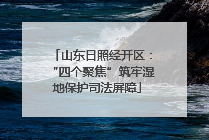 山东日照经开区：“四个聚焦”筑牢湿地保护司法屏障
